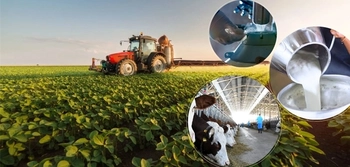 Destek ödemesi bugün çiftçilerin hesaplarına aktarılıyor